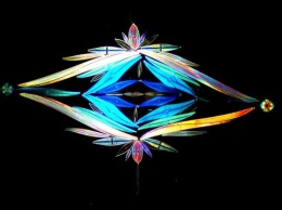 Британский художник создает картины из микроводорослей (фото)