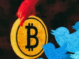 Twitter сформировала команду по работе с блокчейном и криптовалютами