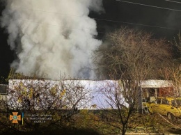 Ночью под Николаевом огнеборцы из пылающего здания выносили канистры с бензином и газовые баллоны