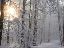 В Украину идет опасная погода со снегом