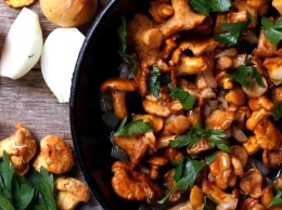 Готовим из сезонных овощей: 5 рецептов блюд из грибов