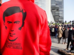 В поддержку Саакашвили будут голодать 9 депутатов