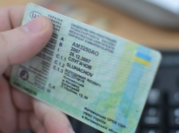 Как и сколько стоит в Украине восстановить водительские права онлайн: инструкция