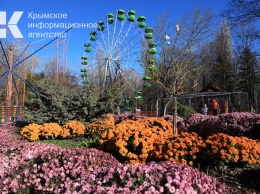 В парке имени Гагарина в Симферополе заработало колесо обозрения