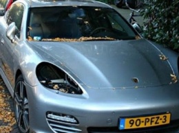 Украсть за 15 секунд: мастер класс по снятию фар с Porsche Cayenne от киевских воришек (видео)