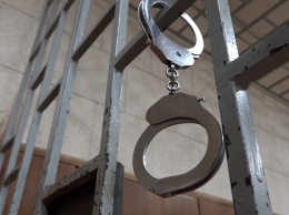 В Новосибирске сторонника "колумбайна" осудили на 1,5 года колонии