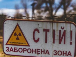 В полиции назвали фейком информацию о "задержании" в Чернобыле группы нелегалов из Беларуси