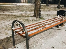 Первый снег выпал в Украине (ФОТО, ВИДЕО)