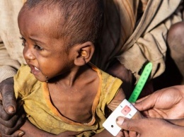 На Мадагаскаре голодают 1,3 млн человек - ООН