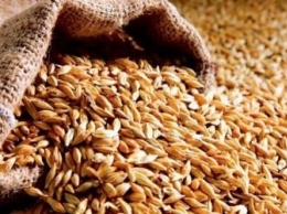 Украина намерена экспортировать более 60 млн тонн зерна в новом МГ, - торгпред