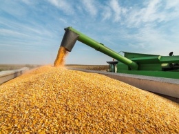 Украина уже обновила рекорд по урожаю зерновых