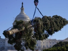 В Вашингтоне установили рождественскую ель