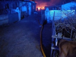 На Одесчине в пожаре погибло около 180 овец