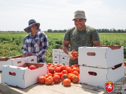 Крымские фермеры смогут реализовывать продукцию на своих участках