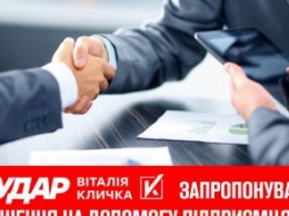 «Инвестняни» закончились массовыми жалобами бизнеса», - «УДАР Виталия Кличко» предложил решение в помощь предпринимателям