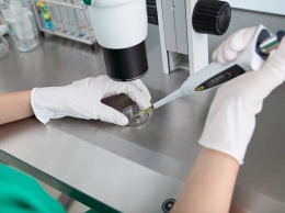 BioNTech и Pfizer тестируют вакцину от нового варианта COVID