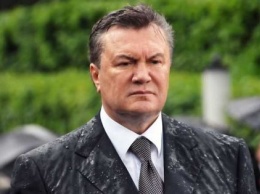 Янукович решил бороться за президентское кресло