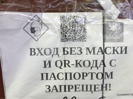 В Екатеринбурге на пикет против QR-кодов вышли около трехсот человек