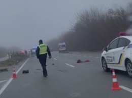 На трассе Днепр-Запорожье произошло жуткое смертельное ДТП (видео)