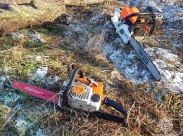 В Кривом Роге патрульные обнаружили лесорубов - браконьеров