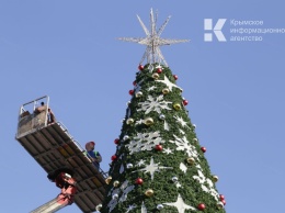 Главную новогоднюю елку Симферополя могут установить в Гагаринском парке