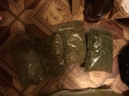 Симферопольцу грозит тюрьма за выращивание марихуаны на поле в Бахчисарайской районе