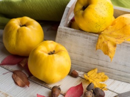 Где в Киеве купить свежие мандарины, айву и авокадо возле дома: адрес