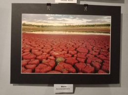 В Криворожском выставочном зале свои работы представили фотохудожники