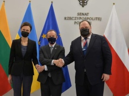 В Варшаве проходит саммит глав парламентов Украины, Польши и Литвы