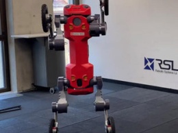 Швейцарский четвероногий колесный робот научился вставать на задние конечности