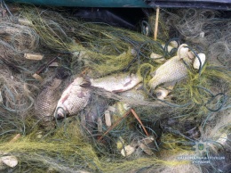 Вылов украинских промысловых рыбаков в Черном и Азовском морях сократился на четверть
