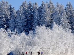 Украину завалит слоем снега до 87 см: когда ждать непогоды