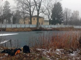 Тела нашли на дне озера: в Житомире загадочно погибли студенты