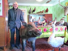 92-летний крымчанин организовал музей чучел прямо в своем доме