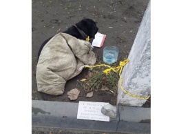 Неизвестные бросили на погибель пса: днепрянка оставила возле бедолаги послание