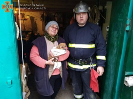 В Одесской области спасатели достали щенка из ливневки