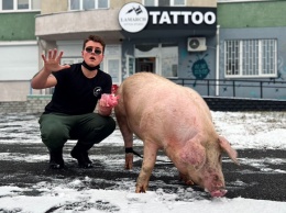 Владельцы скандального тату-салона рассказали, зачем им нужна была свинья