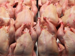В Запорожье могут продавать опасное куриное мясо из Польши