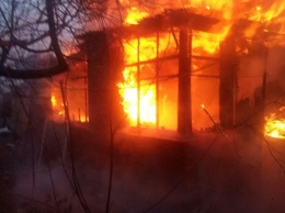 В Люботине под Харьковом из горящего дома спасли собаку и пятерых котят