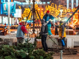 В центре Днепра начали устанавливать новогоднюю елочку