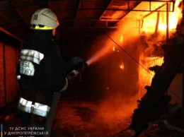 Пожар в Днепре: 9 спасателей тушили двухэтажний дом площадью 100 кв. м. (ВИДЕО)