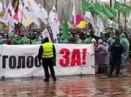 В Киеве протестуют предприниматели