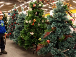 На что стоит обратить внимание при покупке новогодней елки