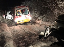 Непогода в Украине: повалены деревья, авто застряли в сугробах