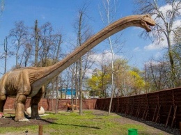 В Кривом Роге монтируют парк Юрского периода: когда можно будет сделать селфи с динозаврами