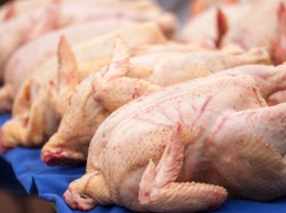 Зараженную сальмонеллой курятину завезли в Украину