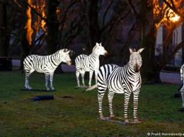 Почему в зоопарке немецкого Ростока светятся животные (фото)