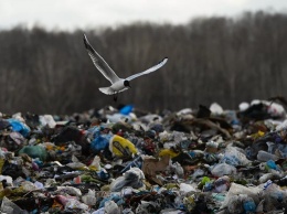 «Союз» допустил на одесской свалке ущерб экологии на 13,6 миллионов