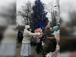 Новогоднюю елку зажгли в Кривом Роге и в парке Мершавцева