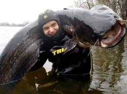 Рыбак из Днепра поймал сома весом 50 килограммов